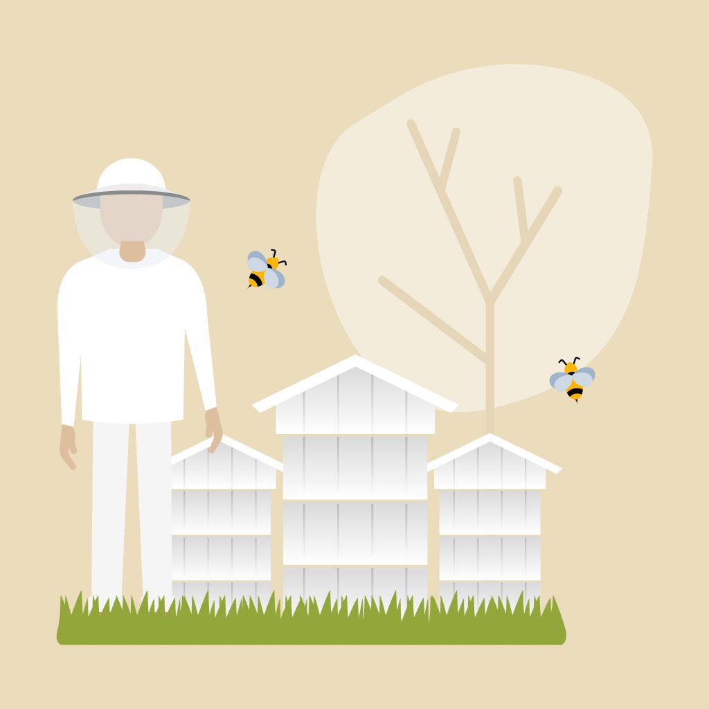 Advance Beekeeping icon