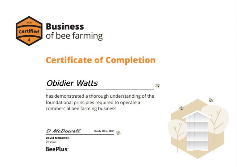 Business-cert-example